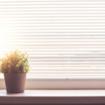 Eine Topfpflanze steht auf dem Fensterbrett, die Sonne scheint durch die Jalousie