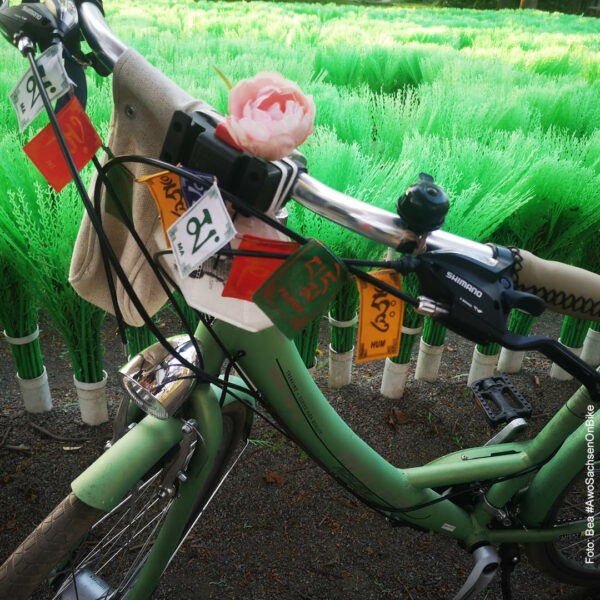 Fahrrad mit einer Blume, im Hintergrund eine saftig grüne Woese