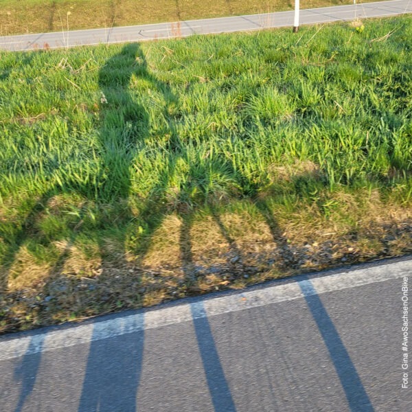 Sonne wirft einen Fahrradschatten auf die Wiese