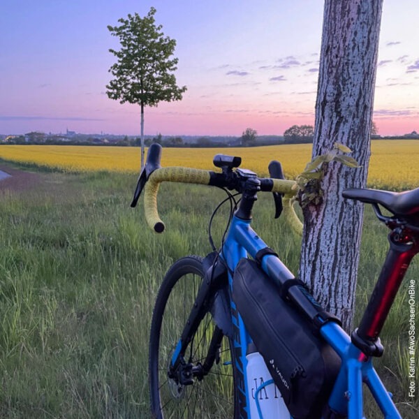 Fahrrad vor Rapsfeld im Sonnenuntergang