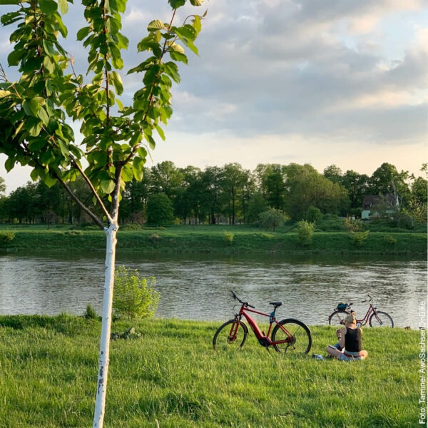Eine junge Frau sitzt lesend neben ihrem Fahrrad an der Elbe