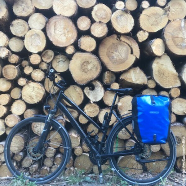 Fahrrad vor Holzstapel