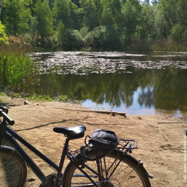 Fahrrad vor einem kleinen sonnigen Waldsee