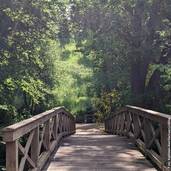 eine schöne Fahrradbrücke im Wald