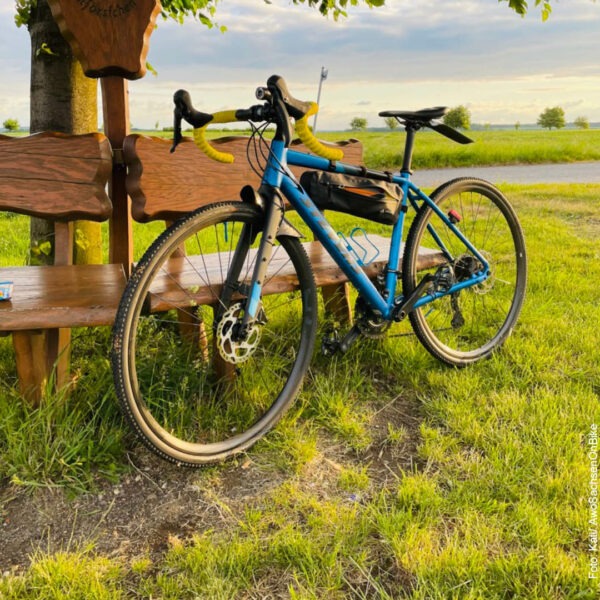 Fahrrad lehnt an einer Parkbank auf einer Wiese