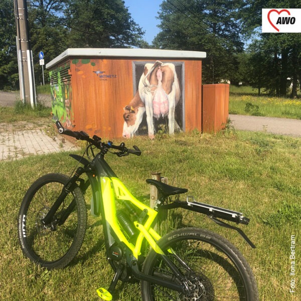 neongelbes Fahrrad auf einer Wiese, im Hintergrund ein Schuppen mit einem Kuhmotiv