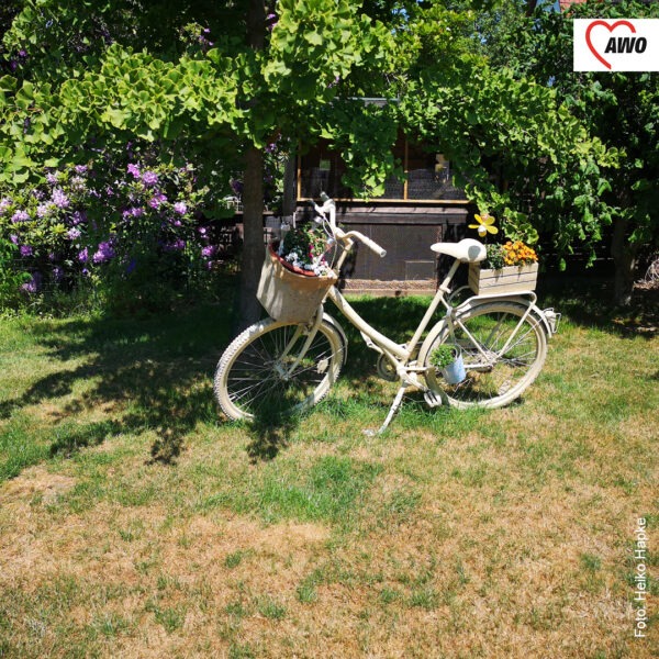 weißes Fahrrad mit Blumen im Korb auf einer Wiese