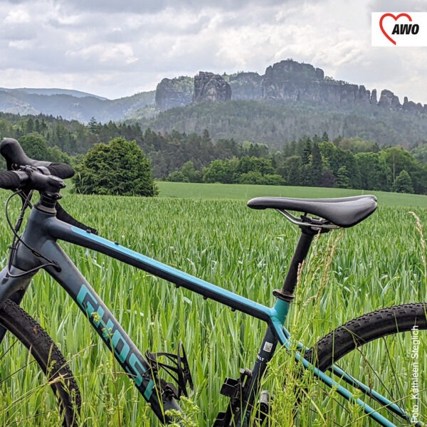 Fahrrad steht auf einer Wiese, im Hintergrund ein Felsen der sächsischen Schweiz