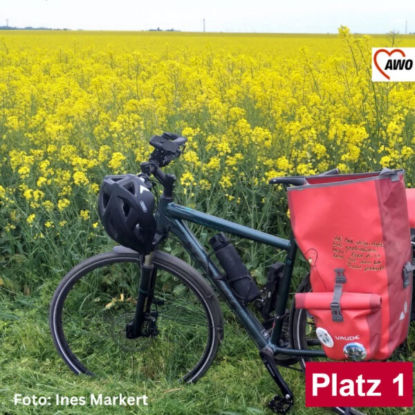 Platz 1 - Fahrrad mit großer, roter Satteltasche vor Rapsfeld