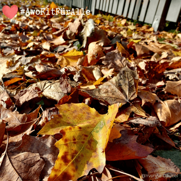 Bunte Herbstblätter liegen am Boden