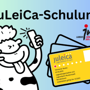 JuLeiCa-Schulung_Banner