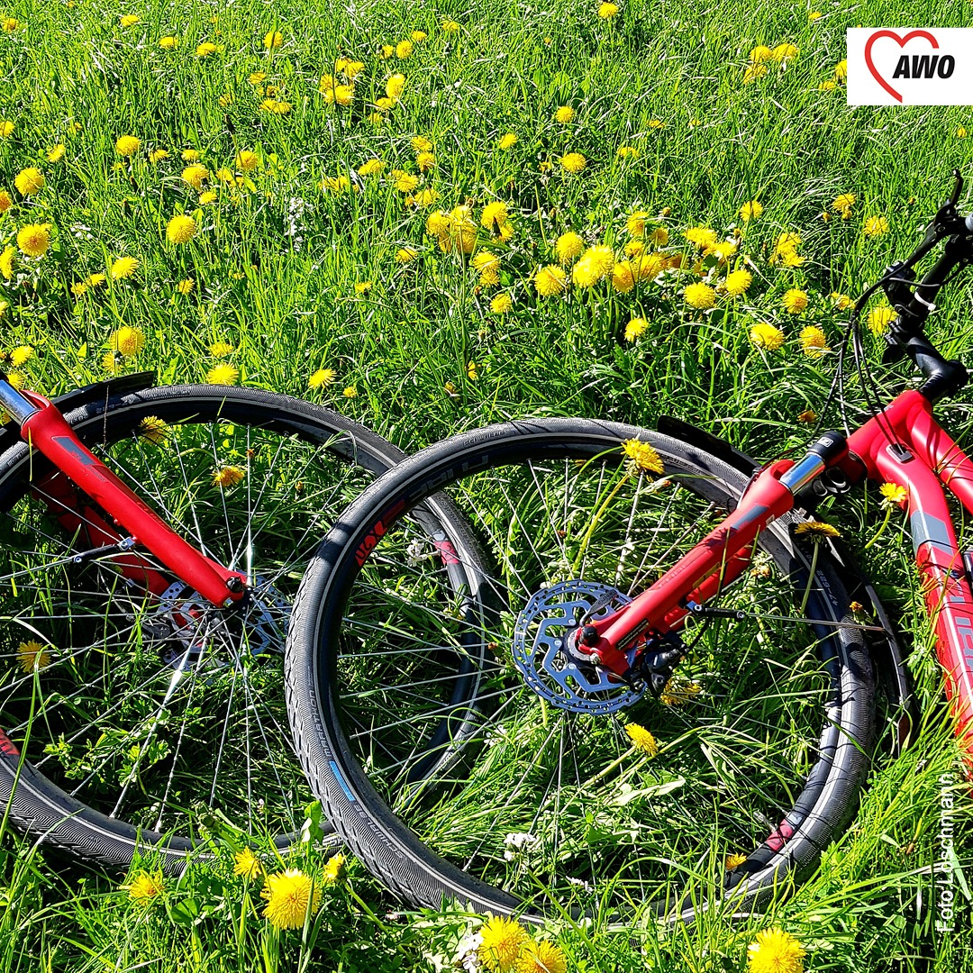 zwei Räder liegen auf der grünen Wiese