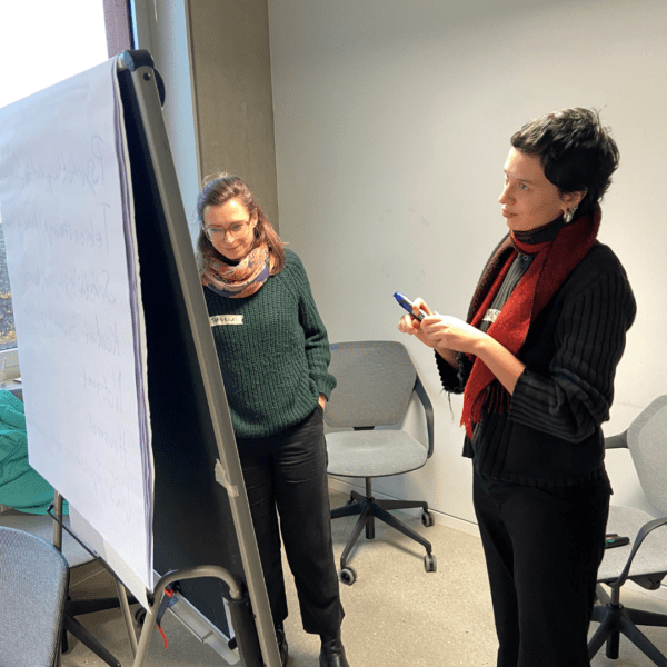 Arbeiten am Flipchart beim Health Workshop