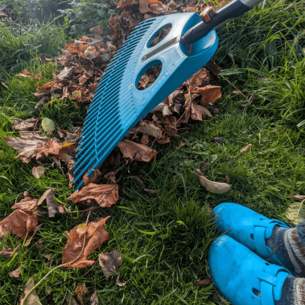 Wohlfühllabor_ein Rechen fegt das Herbstlaub zusammen