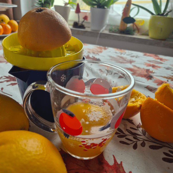 Wohlfühllabor_frisch gepresster Orangensaft